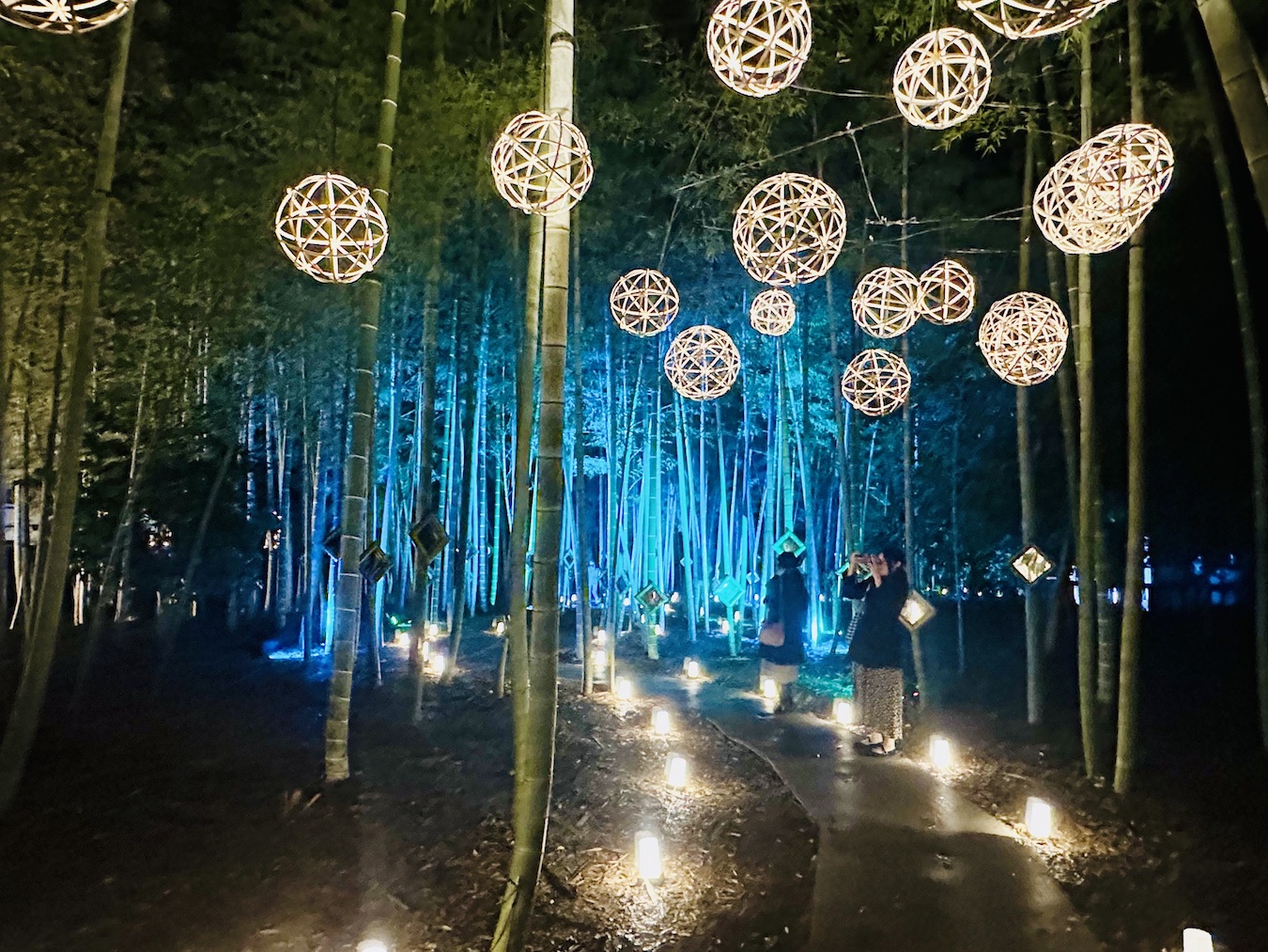 水前寺成趣園がライトアップ。「Lux Night KUMAMOTO 2025」が2025年1